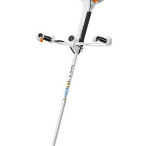 FS 411