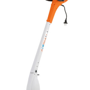 FSE 31
